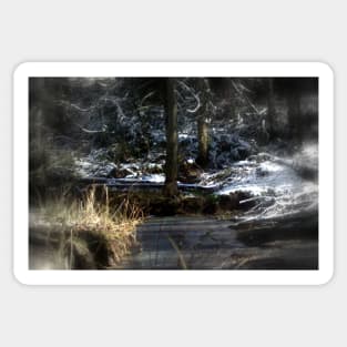 snowy Oregon forest , Fox Creek 2 Sticker